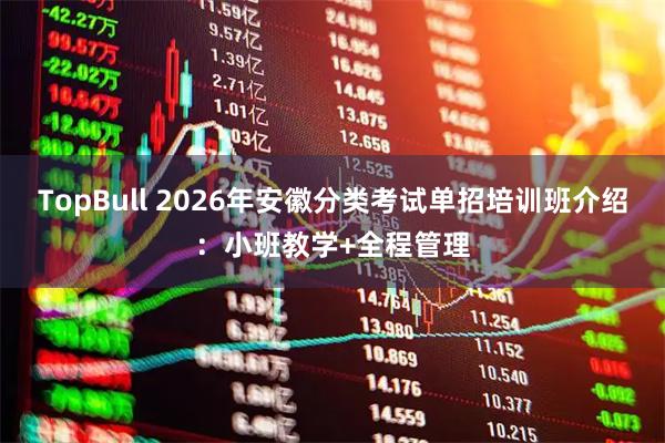 TopBull 2026年安徽分类考试单招培训班介绍：小班教学+全程管理