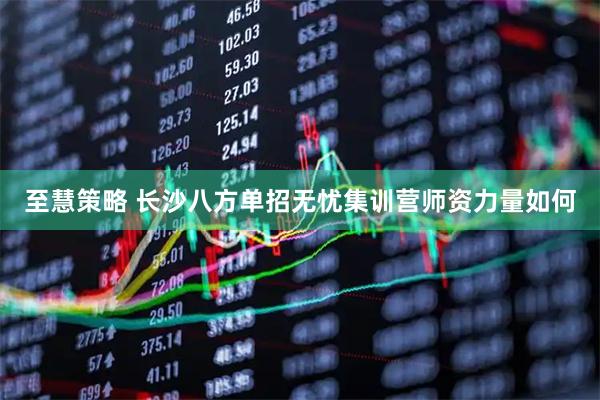 至慧策略 长沙八方单招无忧集训营师资力量如何