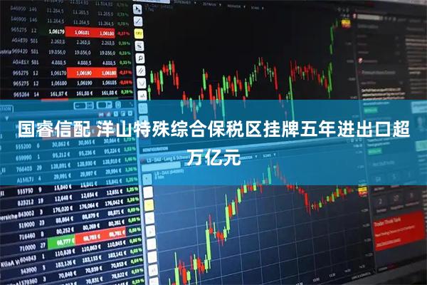 国睿信配 洋山特殊综合保税区挂牌五年进出口超万亿元