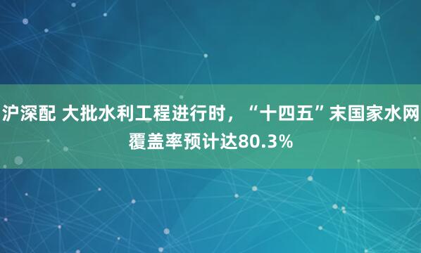 沪深配 大批水利工程进行时，“十四五”末国家水网覆盖率预计达80.3%