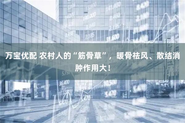 万宝优配 农村人的“筋骨草”，暖骨祛风、散结消肿作用大！