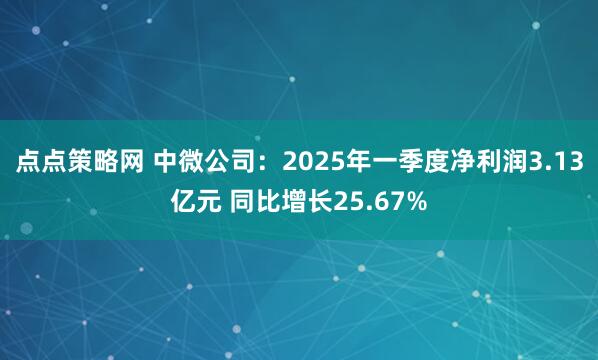 点点策略网 中微公司：2025年一季度净利润3.13亿元 同比增长25.67%
