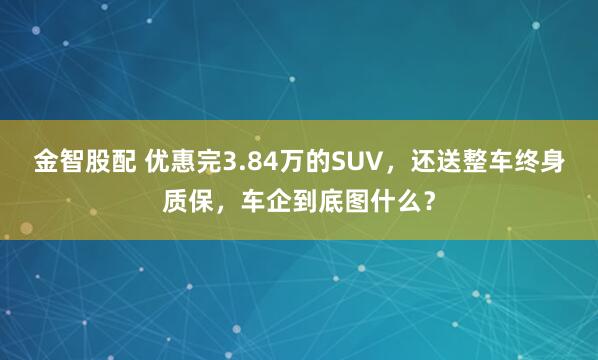 金智股配 优惠完3.84万的SUV，还送整车终身质保，车企到底图什么？