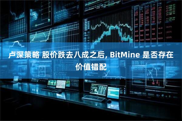 卢深策略 股价跌去八成之后, BitMine 是否存在价值错配