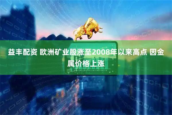 益丰配资 欧洲矿业股涨至2008年以来高点 因金属价格上涨